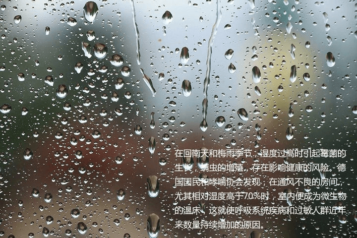 室内恒温游草莓视频在线观看视频在线观看入口由于池水表面温度高于空气露点温度